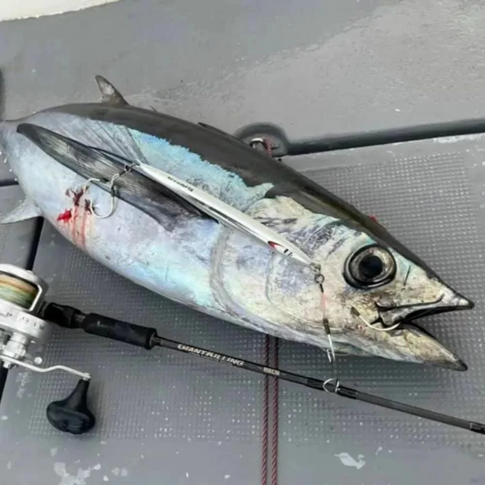 Major Craft Giant Killing New Gk5-s64h 193cm 180-300gr Tetiksiz Jigging Kamış
