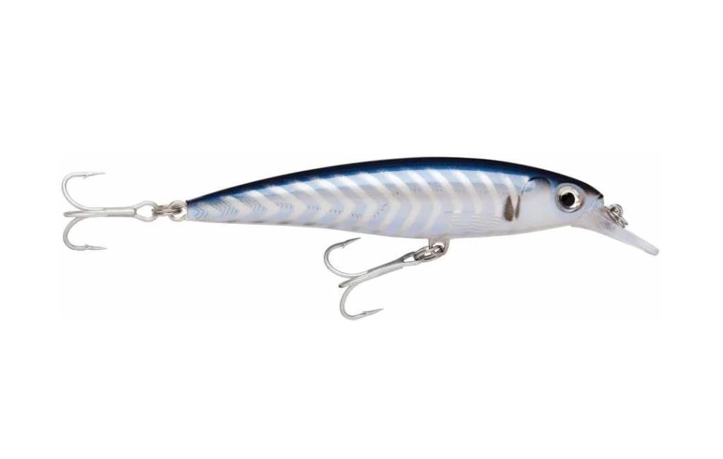 Rapala 100sbsc Saltwater X-rap Sahte Balık 100mm