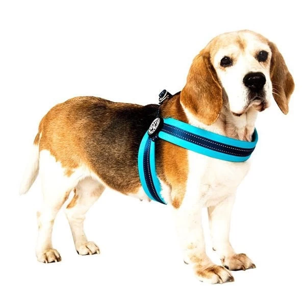 Max  Molly Q-fit Matrix Köpek Göğüs Tasması Xsmall Sky Blue 36-38 Cm