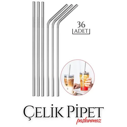 Transformacion 36 Adet Çelik Pipet Seti Pierre Design