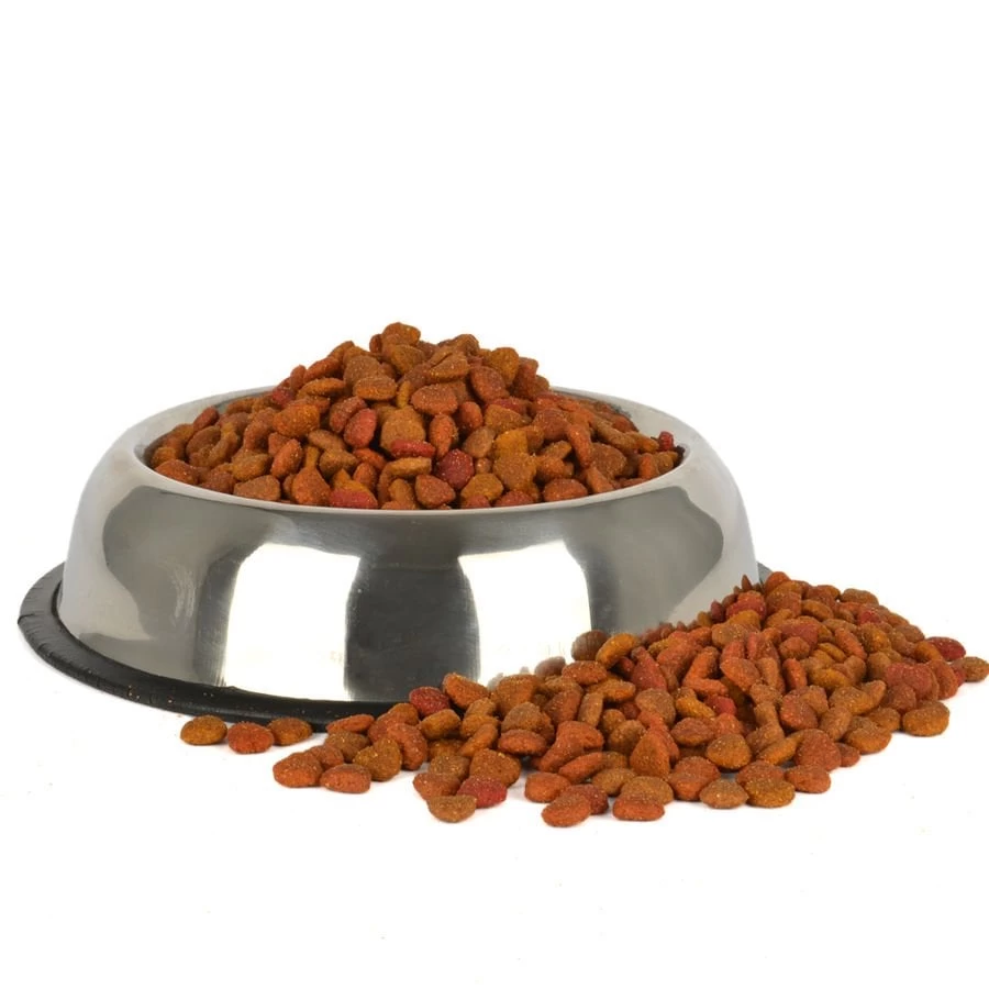 Jungle Colormix Tavuklu Kedi Maması 15 Kg