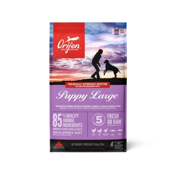 Orijen Puppy Large Tahılsız Büyük Irk Yavru Köpek Maması 11,4 Kg