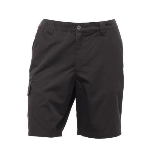 Regatta Crossfell Erkek Şort-grİ