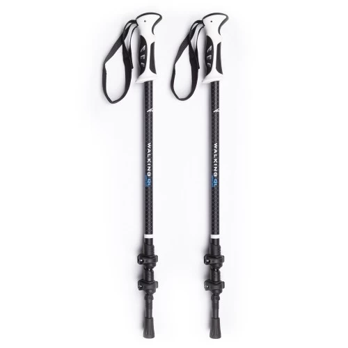Evolite Walking Quick-lock Dıştan Kilitli Trekking Batonu